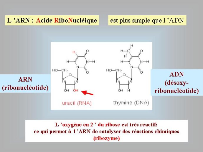 Diapositive39