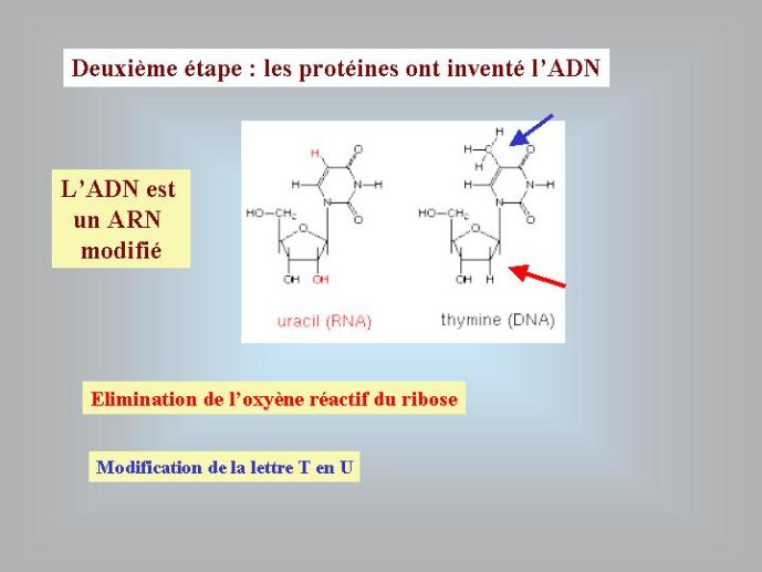 Diapositive43