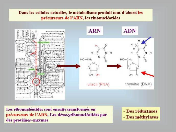 Diapositive44