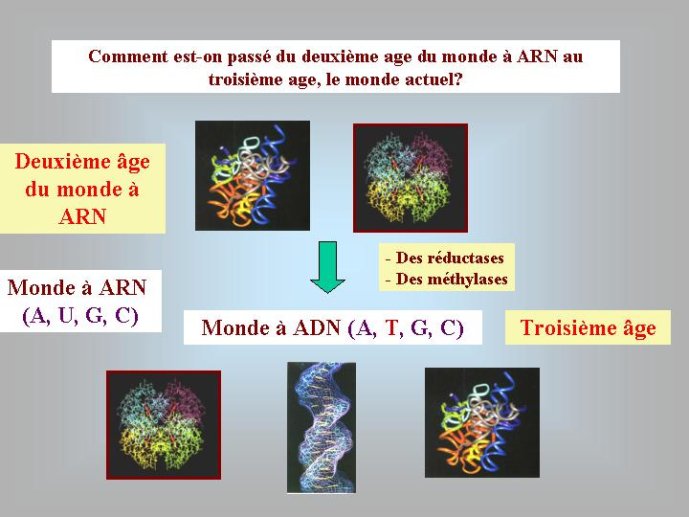 Diapositive45