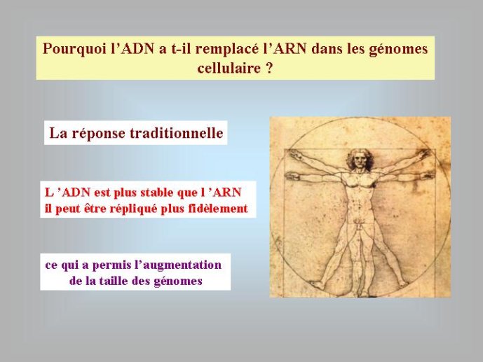 Diapositive48