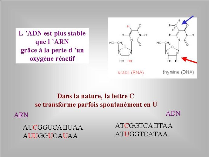 Diapositive49