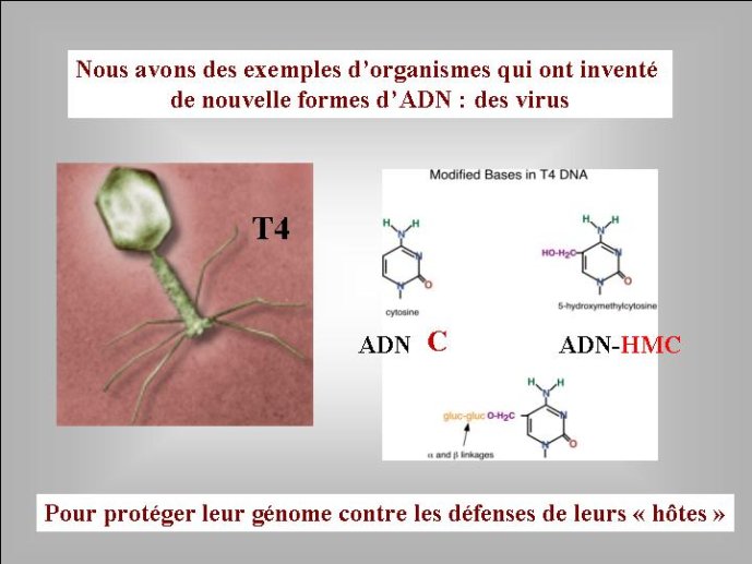 Diapositive53