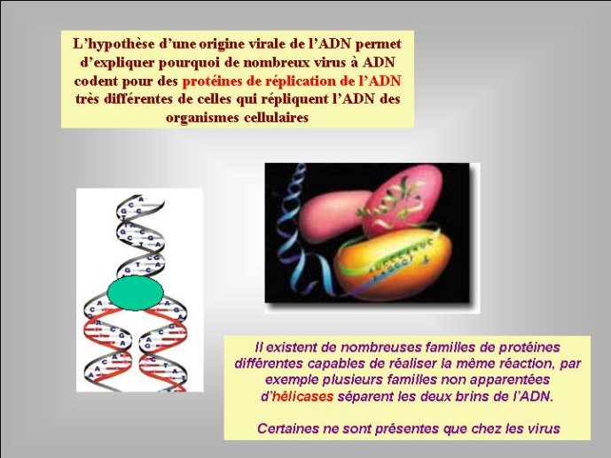Diapositive59
