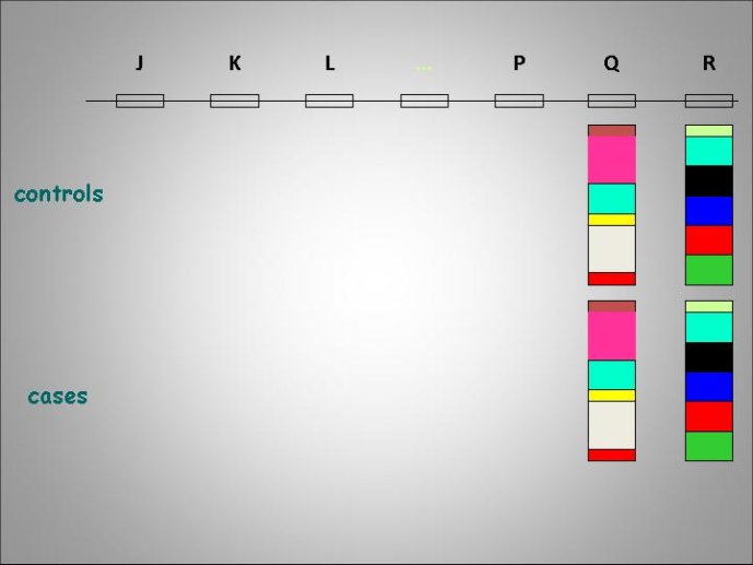 Diapositive58