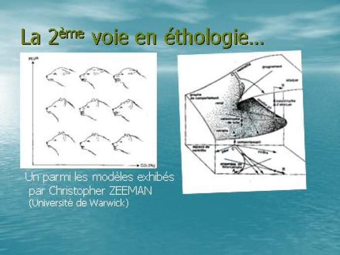 Gootges232