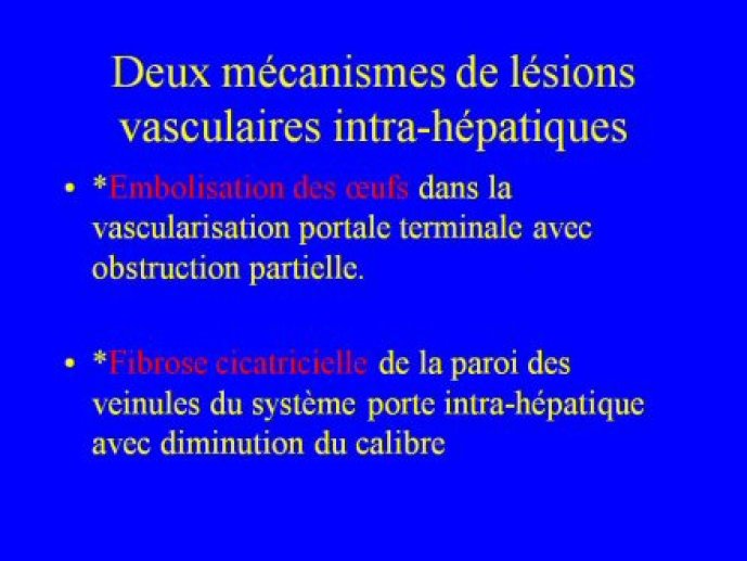 schisto_hep_ANM_Bordeaux11
