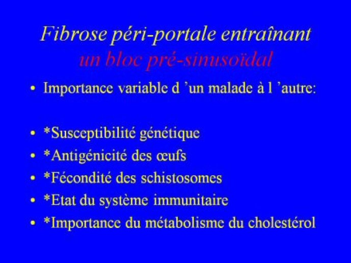 schisto_hep_ANM_Bordeaux15