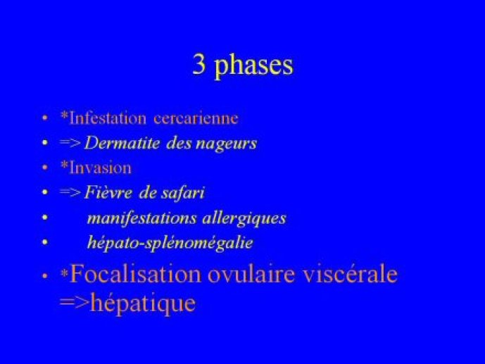 schisto_hep_ANM_Bordeaux18