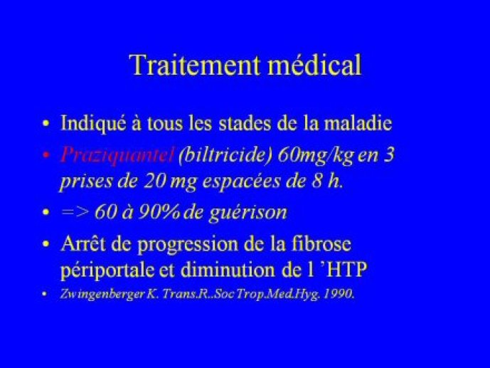schisto_hep_ANM_Bordeaux33