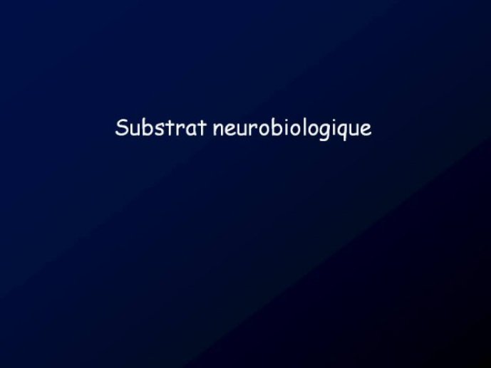 Diapositive16