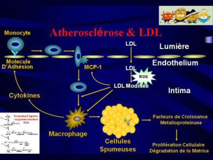 Acad_Med_PLT45