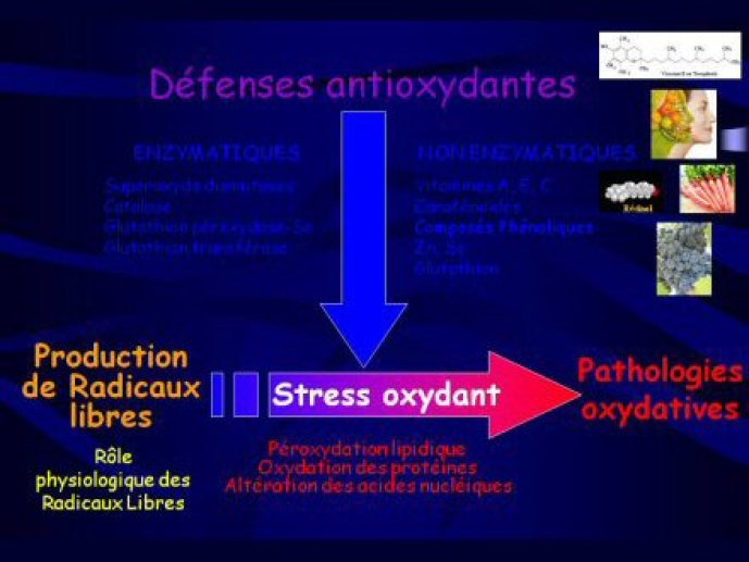 Acad_Med_PLT46