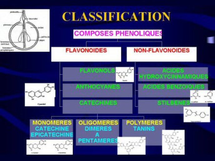 Acad_Med_PLT48