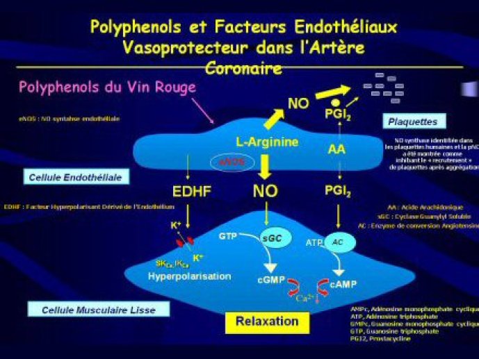 Acad_Med_PLT412