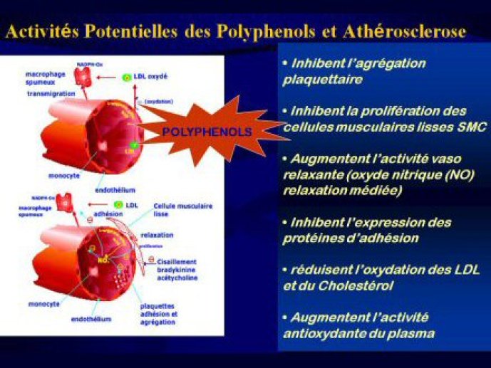 Acad_Med_PLT415