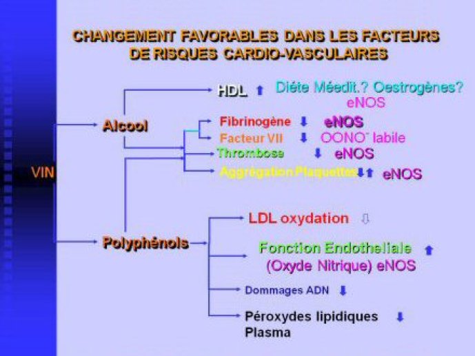Acad_Med_PLT425