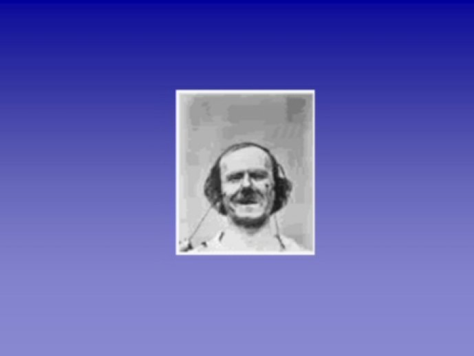 Vincent_07