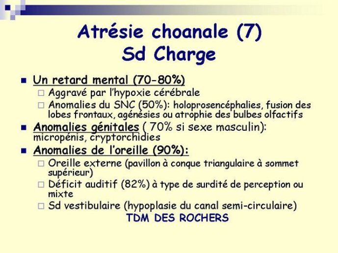 Diapositive14