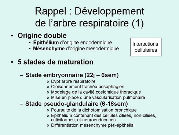 Diapositive2