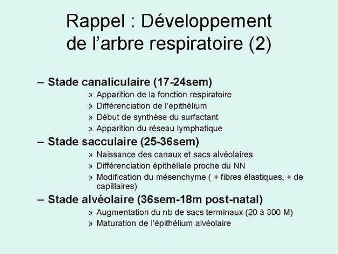Diapositive3