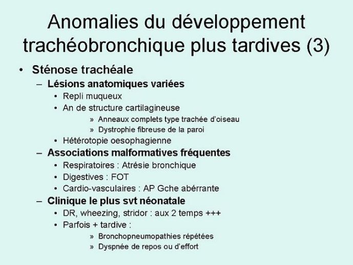 Diapositive21