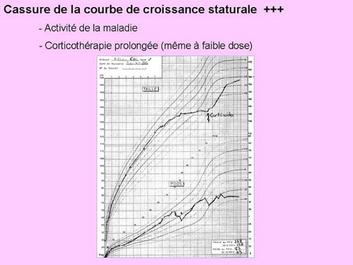Diapositive11