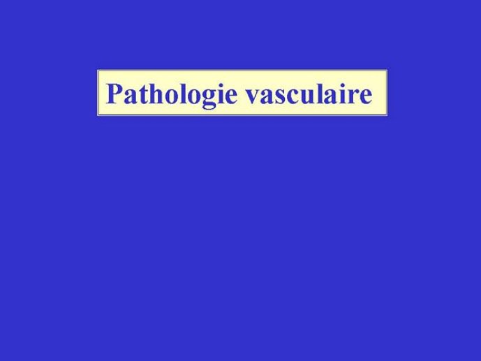 Diapositive73