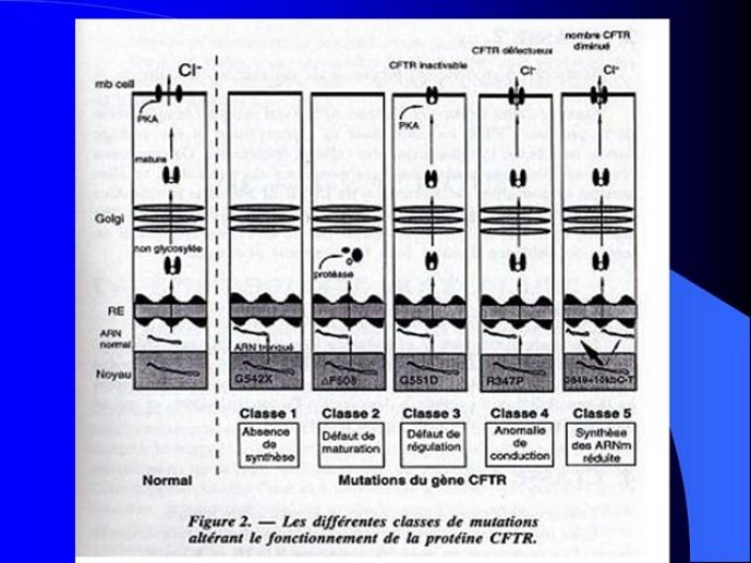 Diapositive7