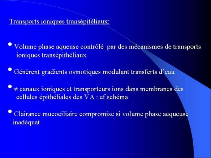 Diapositive18