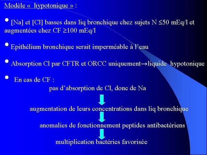 Diapositive25