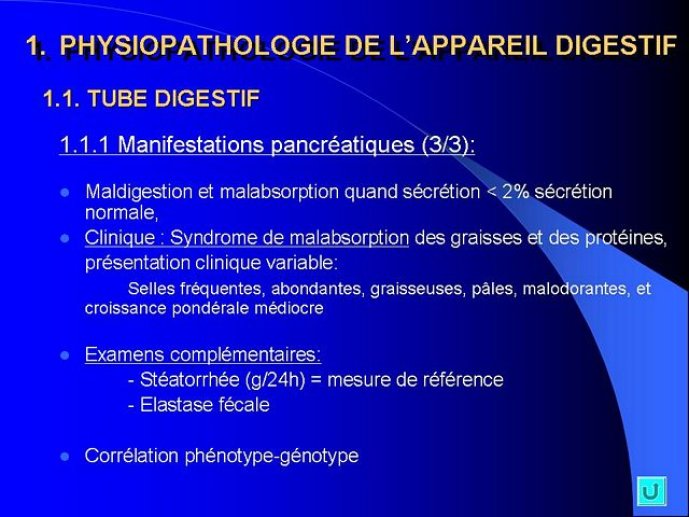 Diapositive5