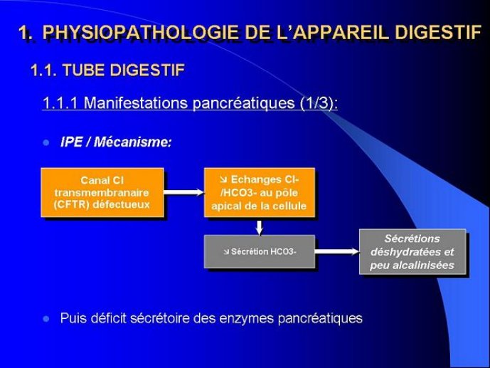 Diapositive3