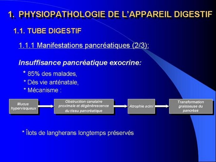 Diapositive4