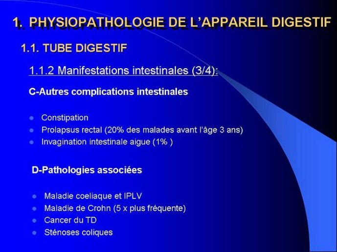 Diapositive8