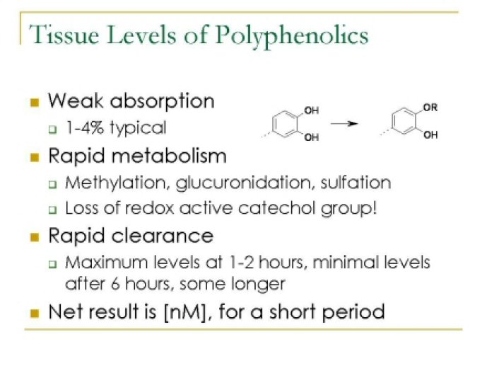 oenological_advances_and_wine18