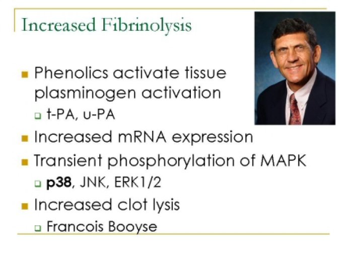 oenological_advances_and_wine24