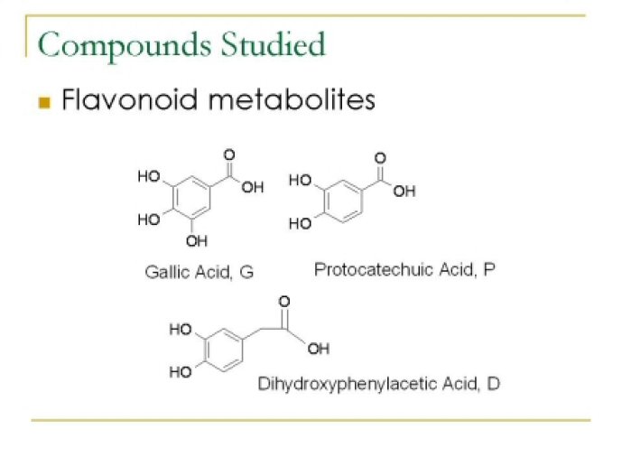 oenological_advances_and_wine28