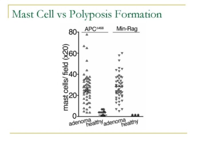 oenological_advances_and_wine34