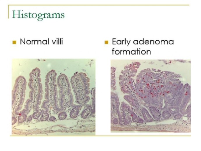 oenological_advances_and_wine36