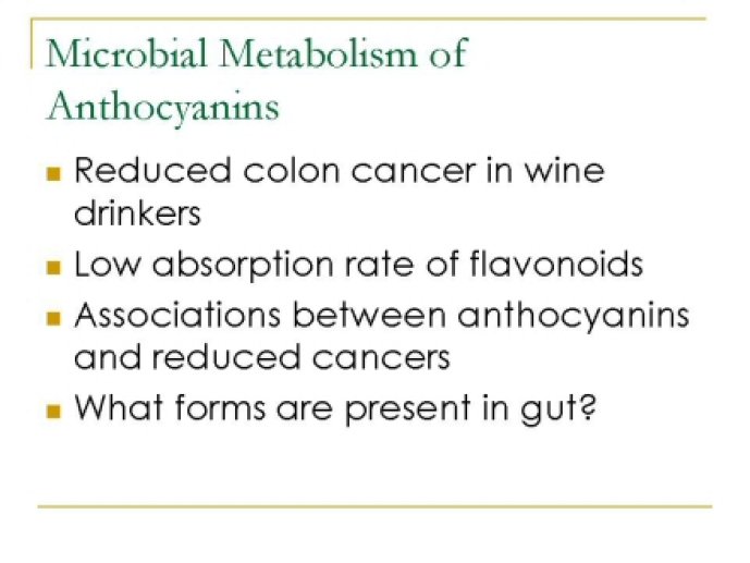 oenological_advances_and_wine38