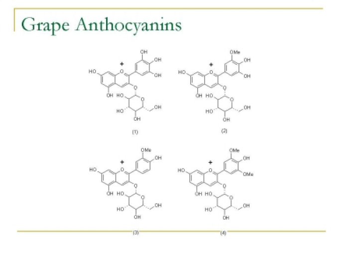 oenological_advances_and_wine39
