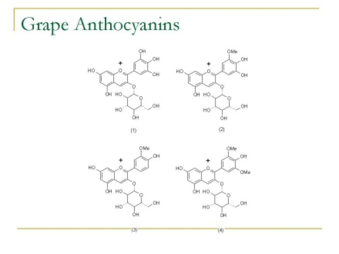 oenological_advances_and_wine39