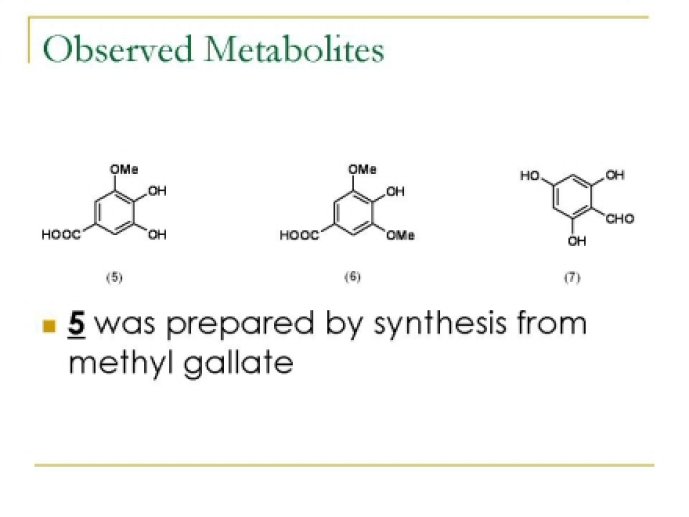 oenological_advances_and_wine41