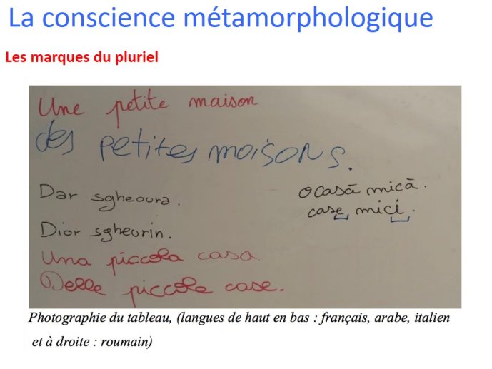 Geroudet-Compalangues2017-17.JPG