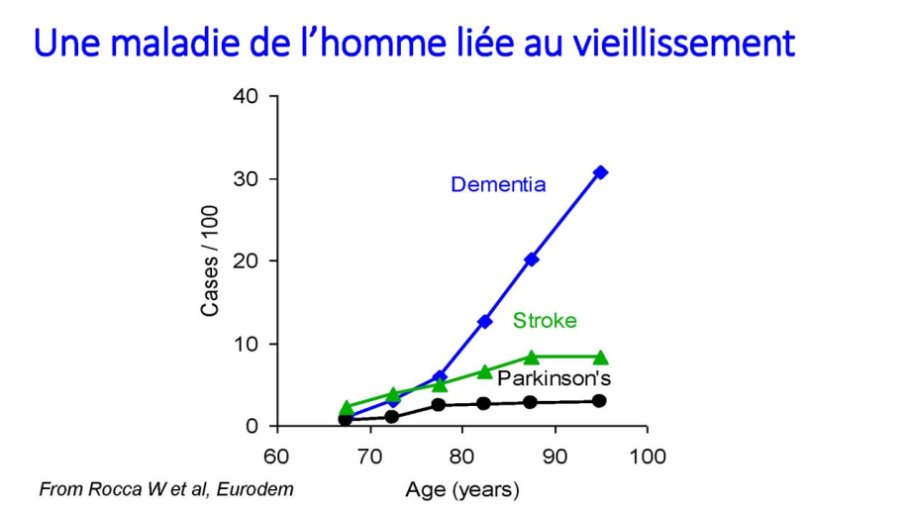 Amouyel09.jpg