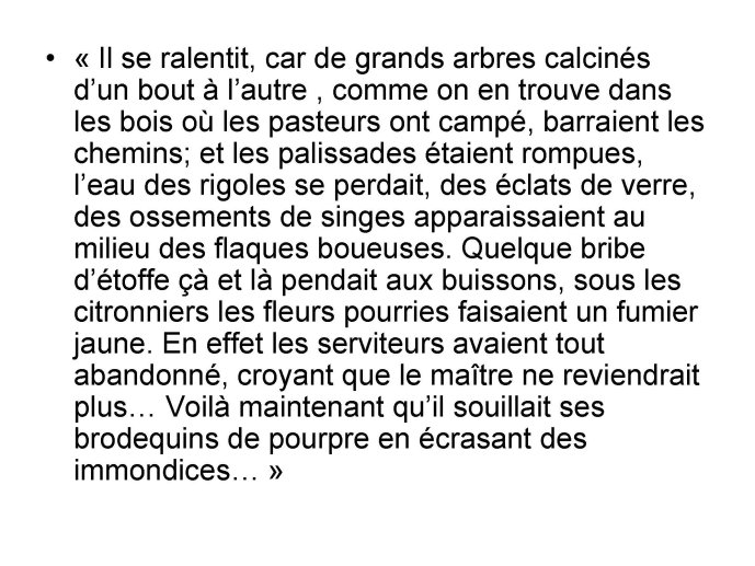 Extrait de "Salammbô" de Flaubert