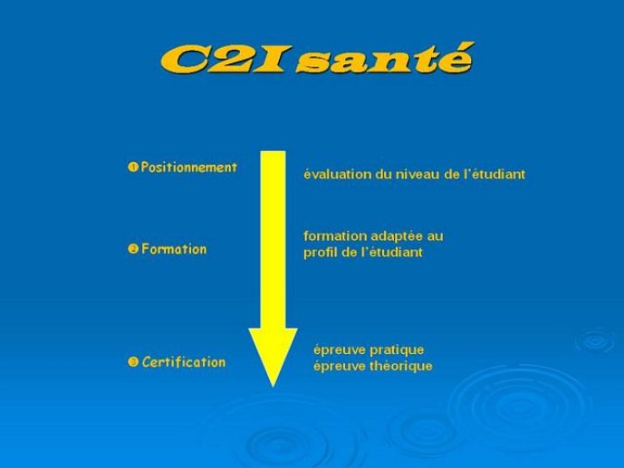 s2_03112008_gouider_Diapositive39