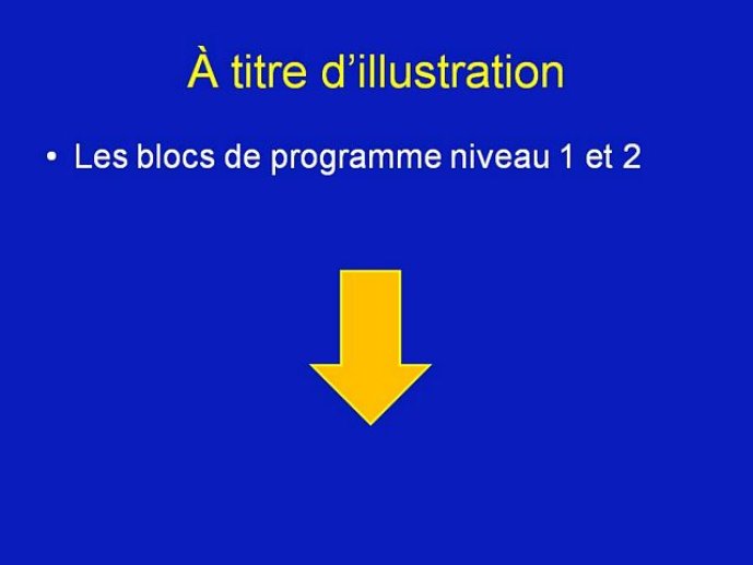 s5_03112008_caulii_Diapositive13