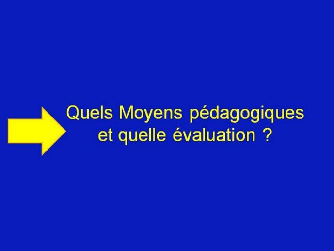 s5_03112008_caulii_Diapositive18